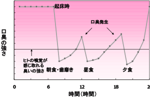 生理的口臭の1日の変化